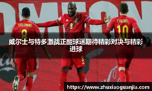 威尔士与特多激战正酣球迷期待精彩对决与精彩进球